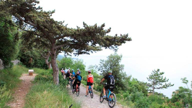 Pot Burje povezuje Kras