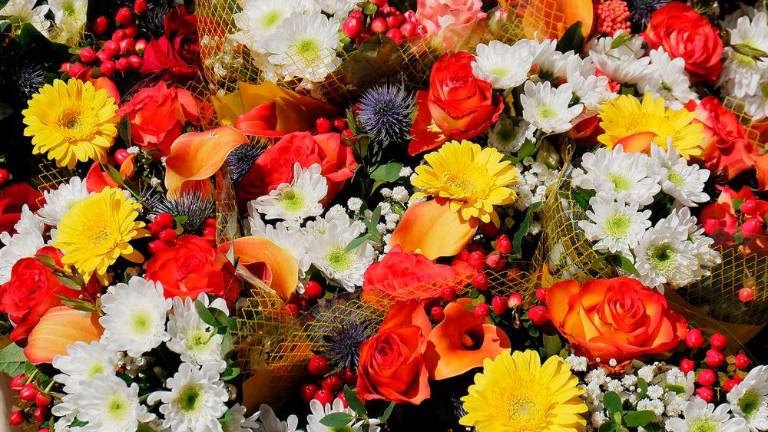 Vrnil se je sejem Trieste in Fiore