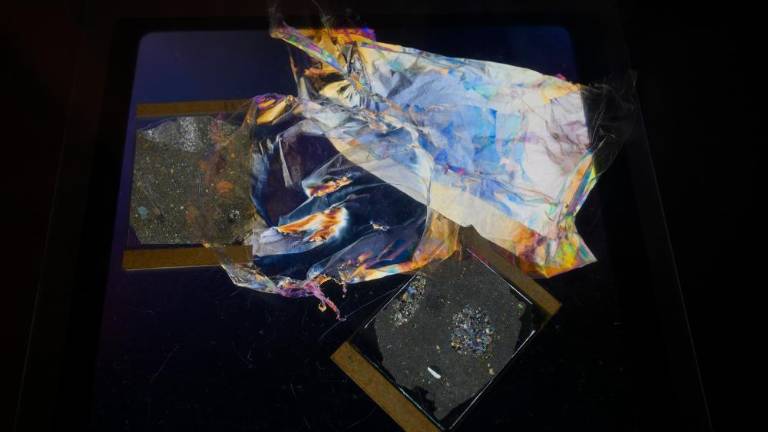 V kamnu se skrivajo umetnine