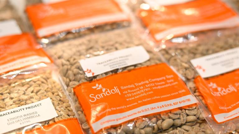Na sejmu TriestEspresso Expo strokovnjaki kavne industrije z vsega sveta
