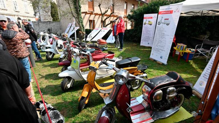 Ob starodobnikih tudi lokalne dobrote