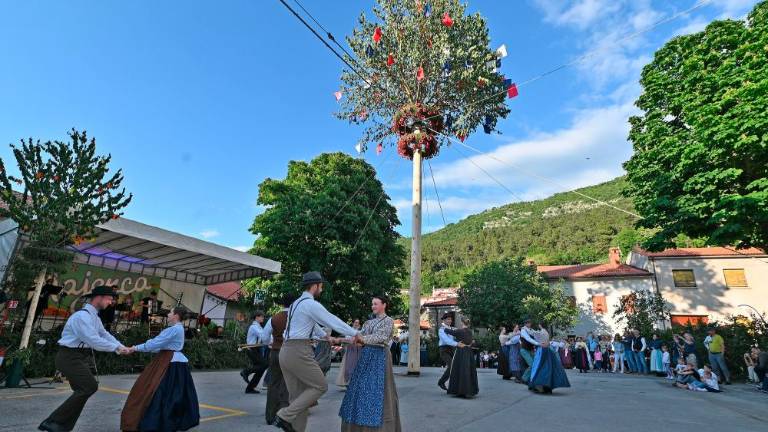 Majenca parterjev in parterc