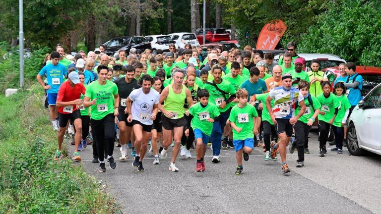 Kar 120 tekačev na 5. Teku med vinogradi