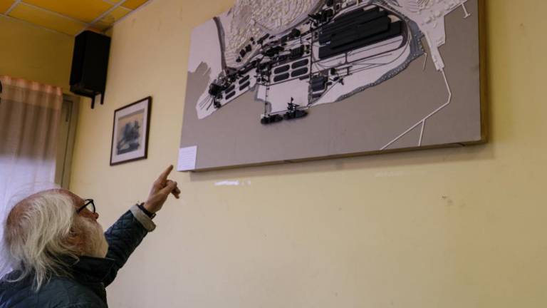 Železarno je zaprl denar, ne pa politiki