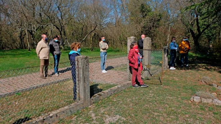 »Iz borbe in smrti je vzklilo drevo demokracije, ki ga moramo gojiti«