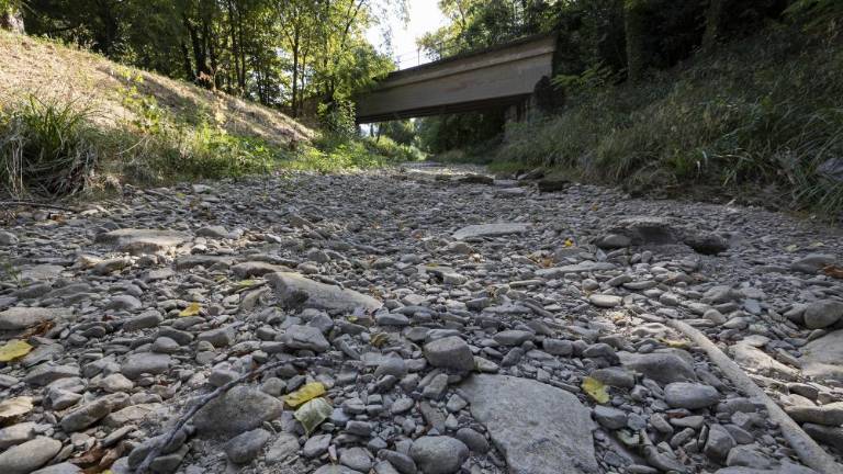 Spet je mogoče oprati avto