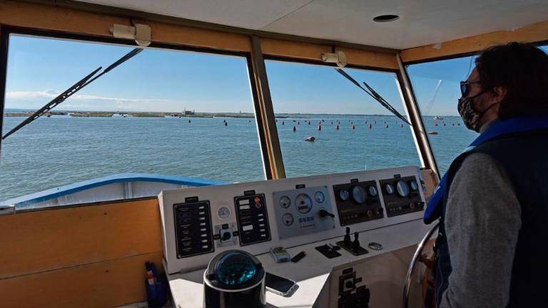 Ob devinski obali gojijo brancine in orade