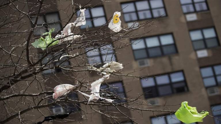 Danes bodo ugasnile luči v Uri za Zemljo