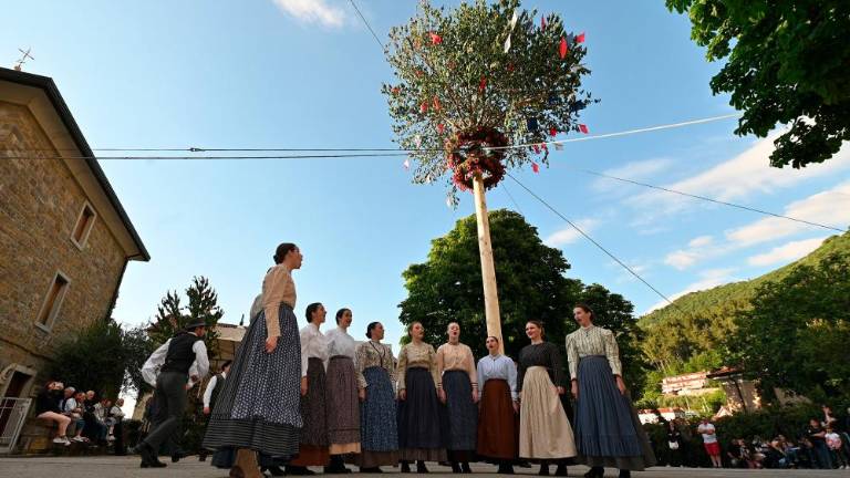 Majenca parterjev in parterc