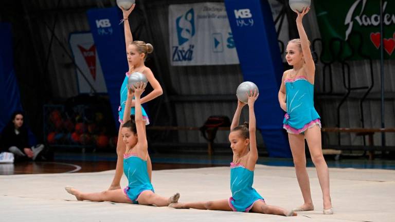 Borova božična akademija