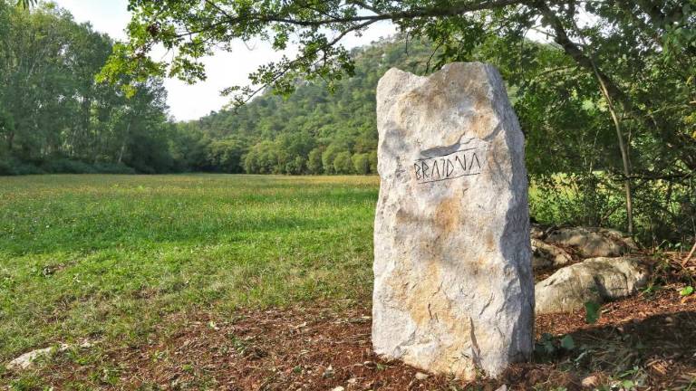 Na skali ob Doberdobskem jezeru Handkejevi verzi in pozdrav