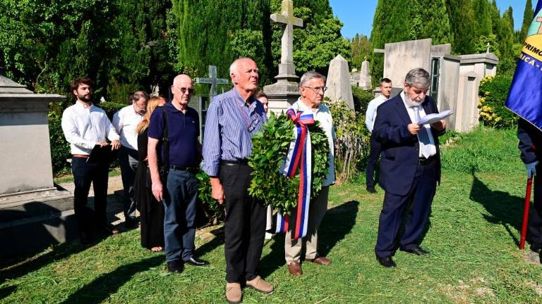 Želi si Evrope s koreninami in perutmi