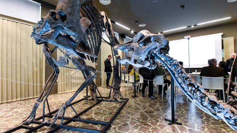 Dinozavri v Sesljanu