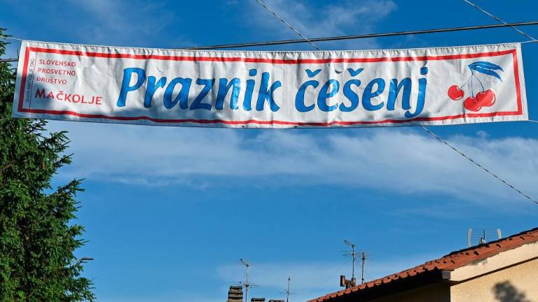 61. Praznik češenj v Mačkoljah