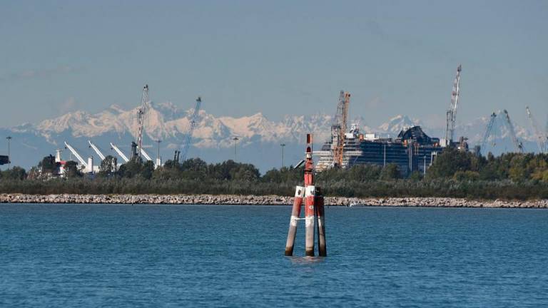 Ob devinski obali gojijo brancine in orade