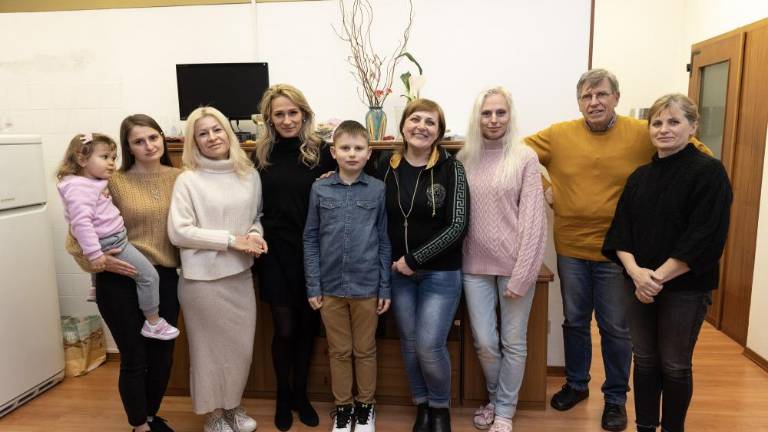 V Trstu so našle začasen dom