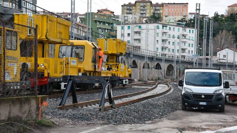 Kjer je bilo morje, zdaj stoji žerjav
