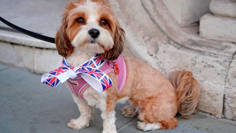 V Londonu se je začelo praznovanje ob jubileju kraljice Elizabete (foto)