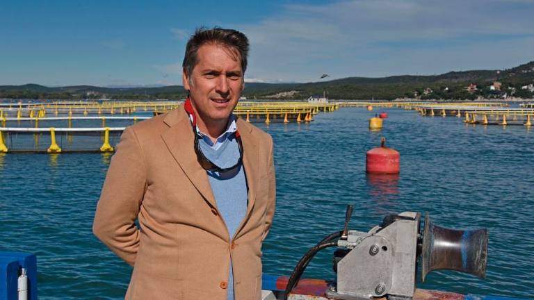 Ob devinski obali gojijo brancine in orade