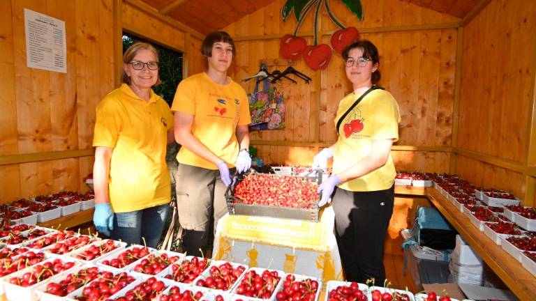 61. Praznik češenj v Mačkoljah