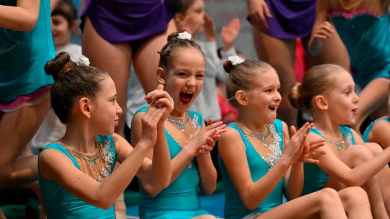 Borova božična akademija