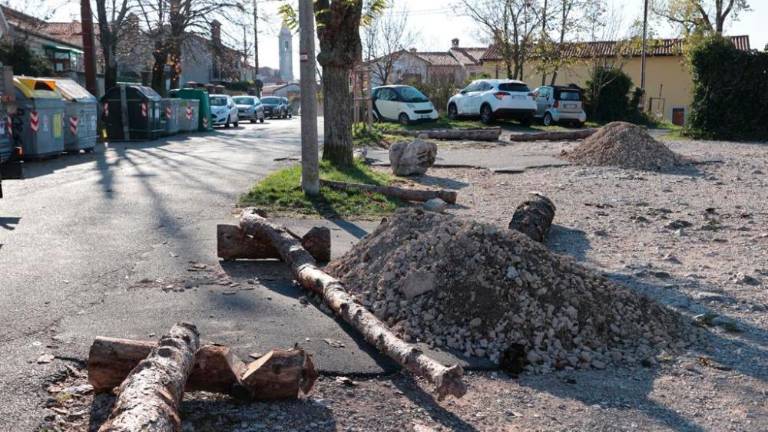 »Vojna debel« v Bazovici in pri Banih
