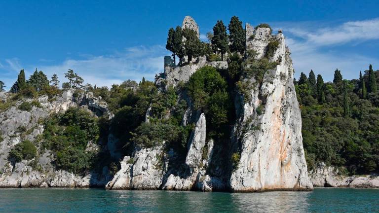 Ob devinski obali gojijo brancine in orade