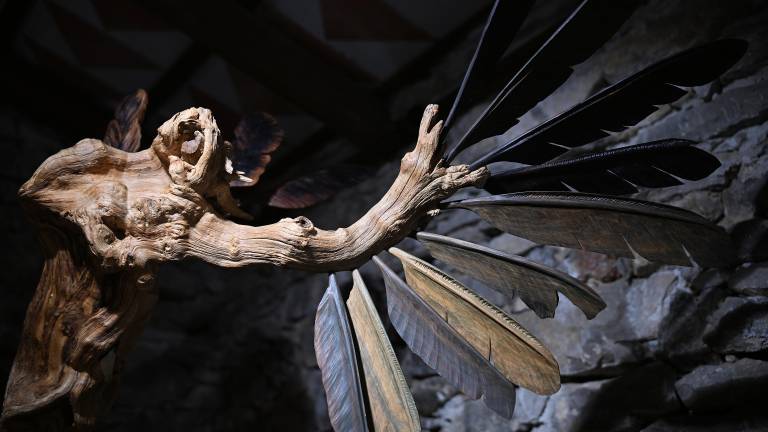 Umetnine Alessandra Starca bodo v Kraški hiši na ogled do 3. maja