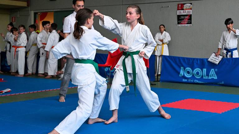 Shinkai Club se je s 33. Pokalom Zgonik spet izkazal
