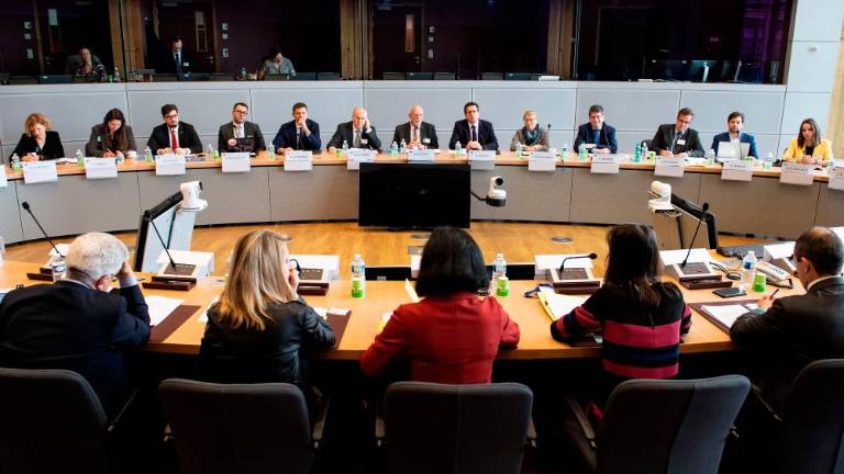 V evropskih vrhovih zanimanje za državljansko pobudo Minority SafePack