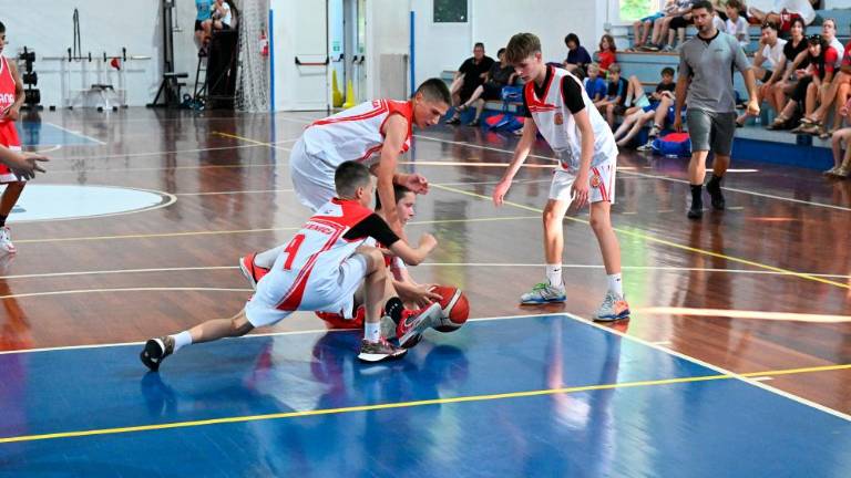 Košarkarska Trofeja ZSŠDI U13