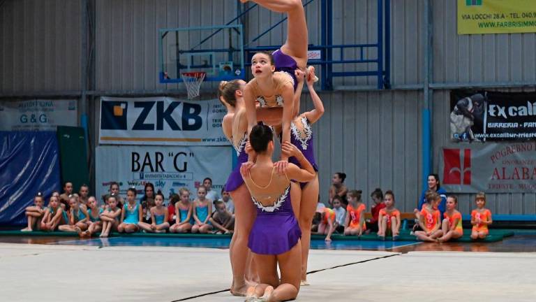 Borova božična akademija