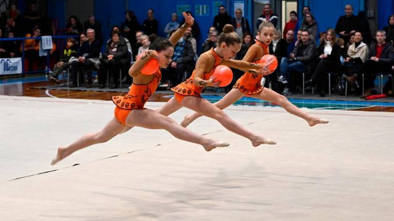 Borova božična akademija