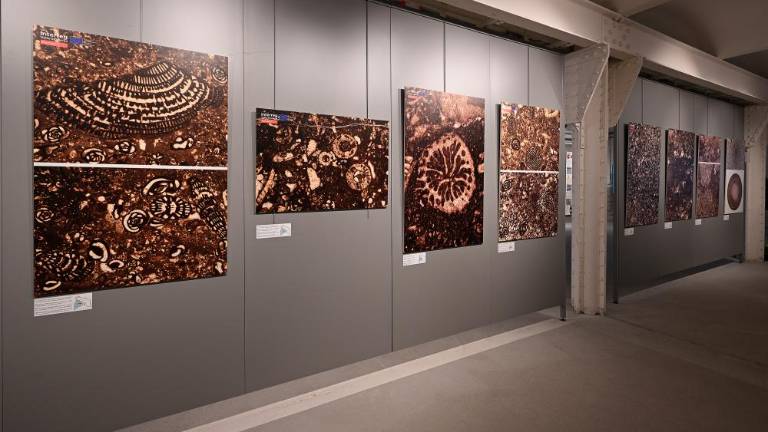 V kamnu se skrivajo umetnine