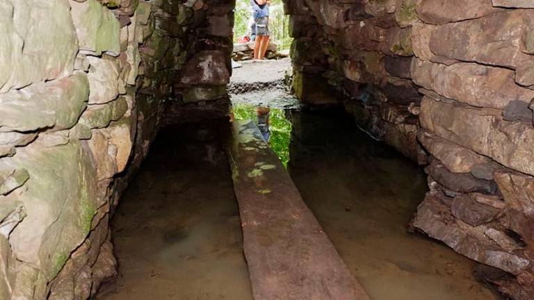 Novo življenje izvira Šturk pri vasi Vrhpolje