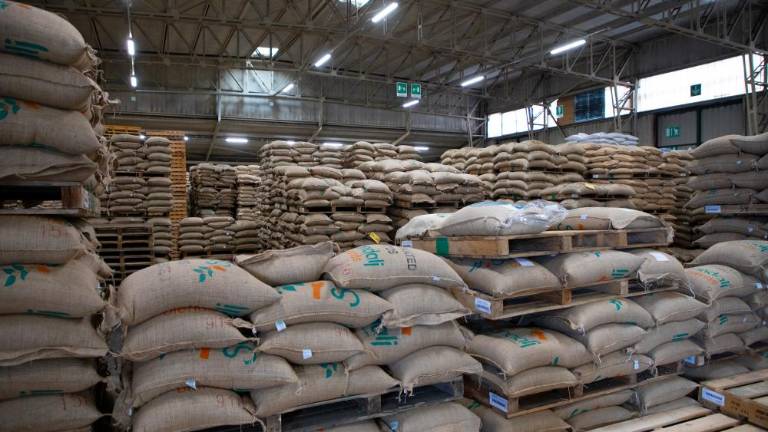 V mestu kave snujejo še muzej, ki bi pričal o njej