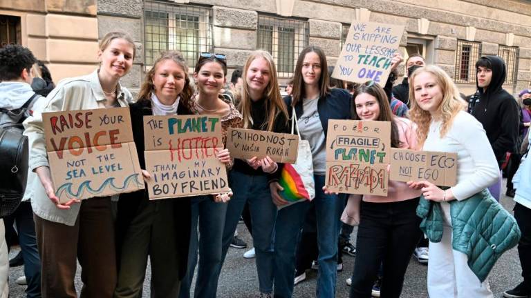 »Dovolj je zelenega zavajanja!« (foto in video)
