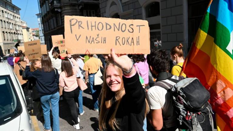 »Dovolj je zelenega zavajanja!« (foto in video)