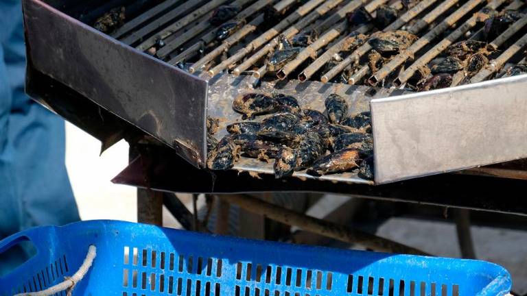 Na morju z gojitelji klapavic