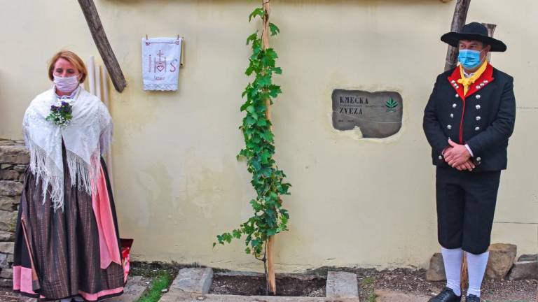 Ob 70-letnici Kmečke zveze trta prijateljstva in nova etiketa prosekarja