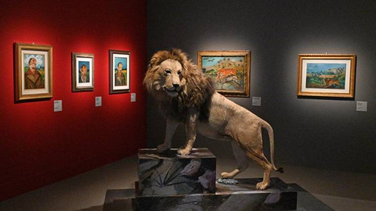 Nemir duha v barvi in podobi