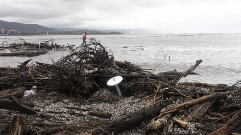 Zasebniki lahko pobirajo naplavljeni les s tržiških plaž