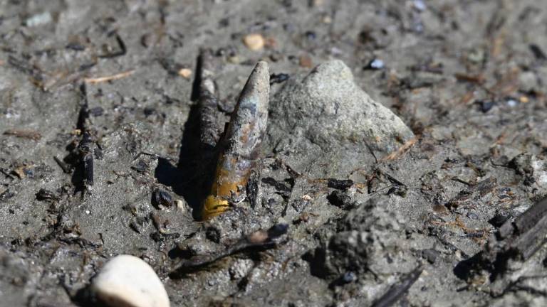 V mlaki naboja in plinska maska