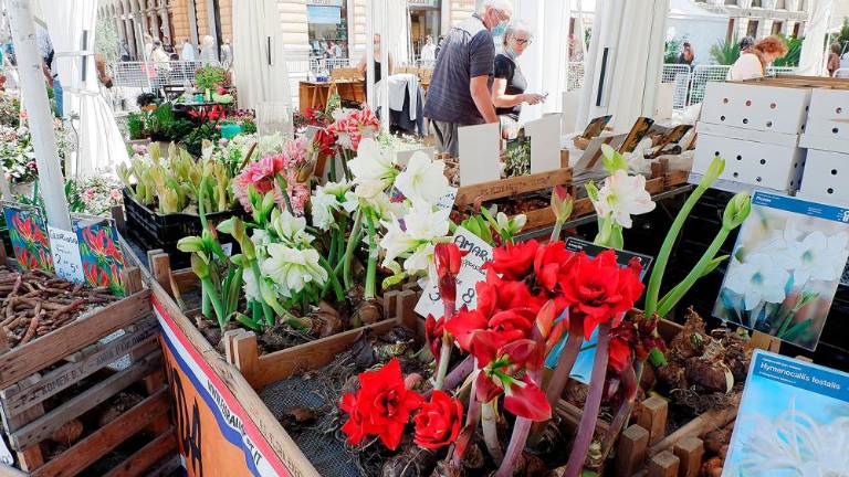 Vrnil se je sejem Trieste in Fiore
