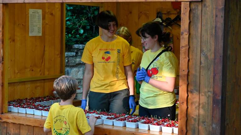 61. Praznik češenj v Mačkoljah