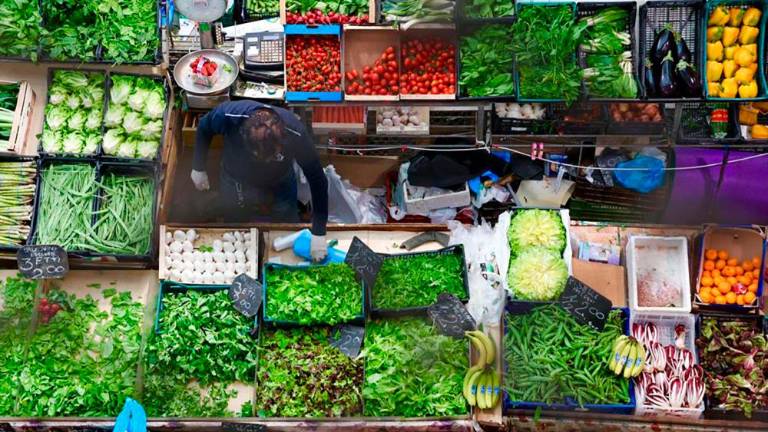 Pokrita tržnica bo postala Muzej okusa