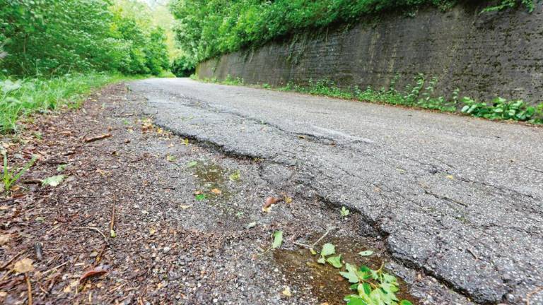 Poleti preplastitev ceste na Vinčiču in v Koštabonu