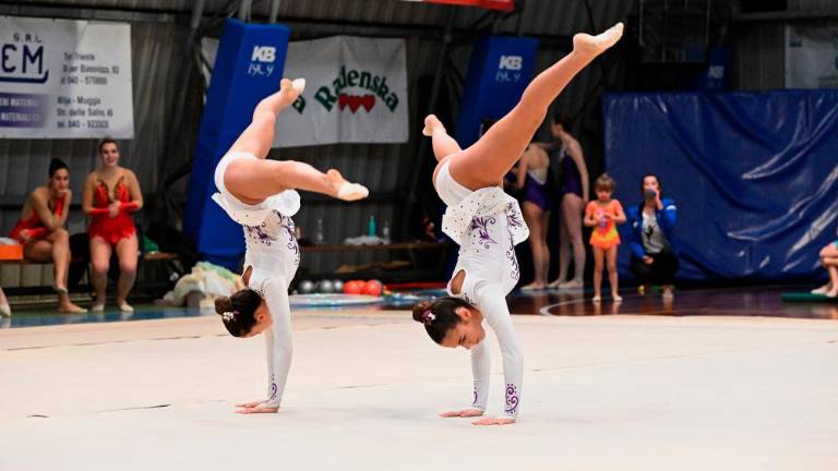 Borova božična akademija