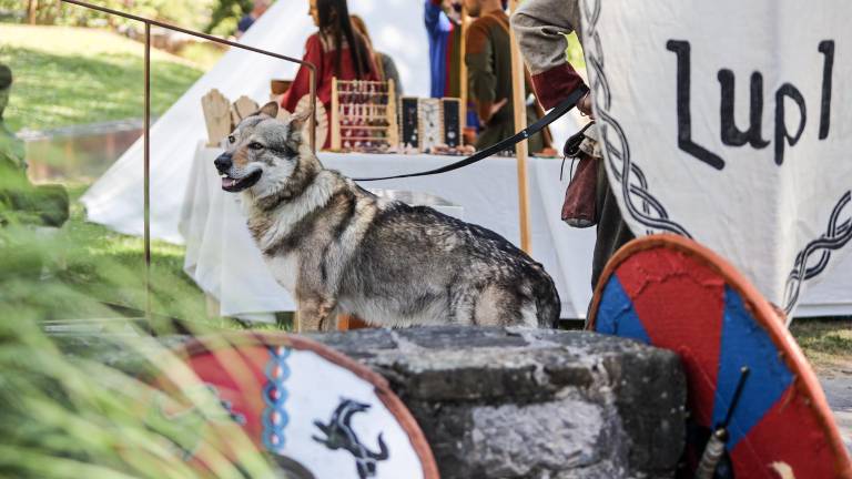 Grofija in pohod poživila mesti