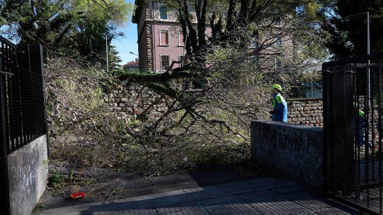 Burja s sunki do 111 km/h in visoko povprečno hitrostjo povzroča težave